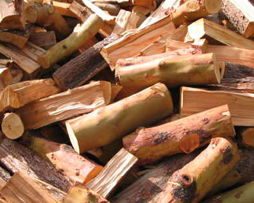 madrone